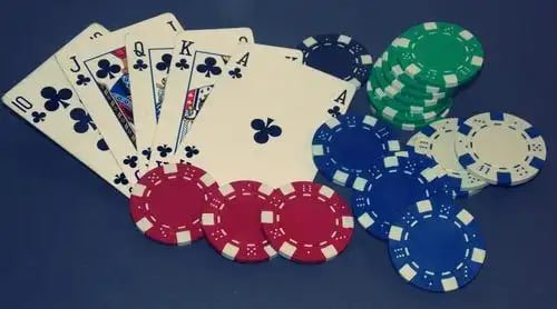 8800 bet